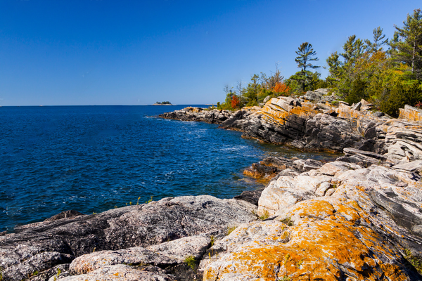 Haliburton Gold Group