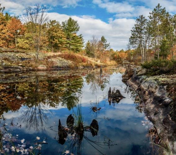 Haliburton County Homes for Sale Haliburton County, ON Real Estate