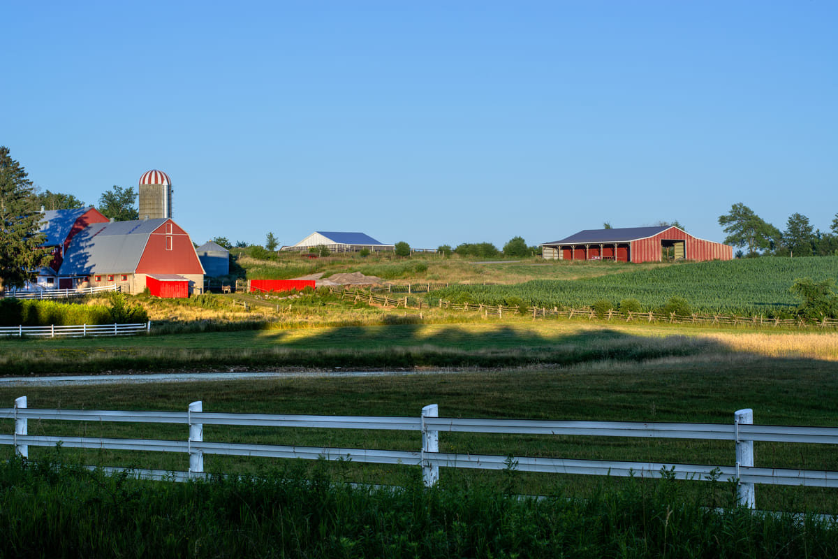 An Ontario farm during sunrise