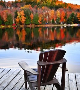 Stunning view of vibrant forestry on Muskoka lake waters near a dock