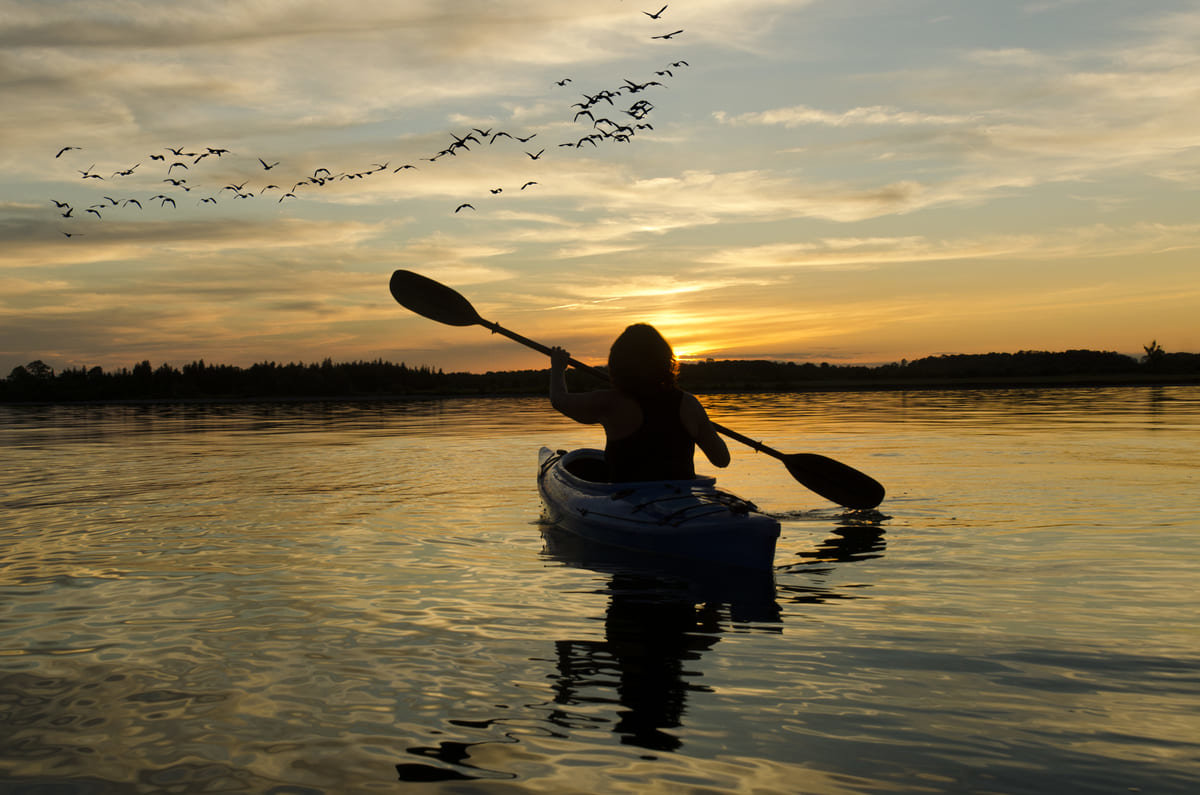 A woman kayaking at dusk.