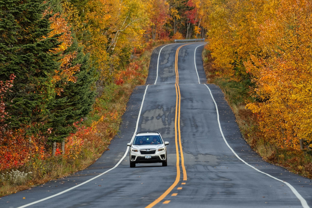 Driving on a road near Muskoka Ontario