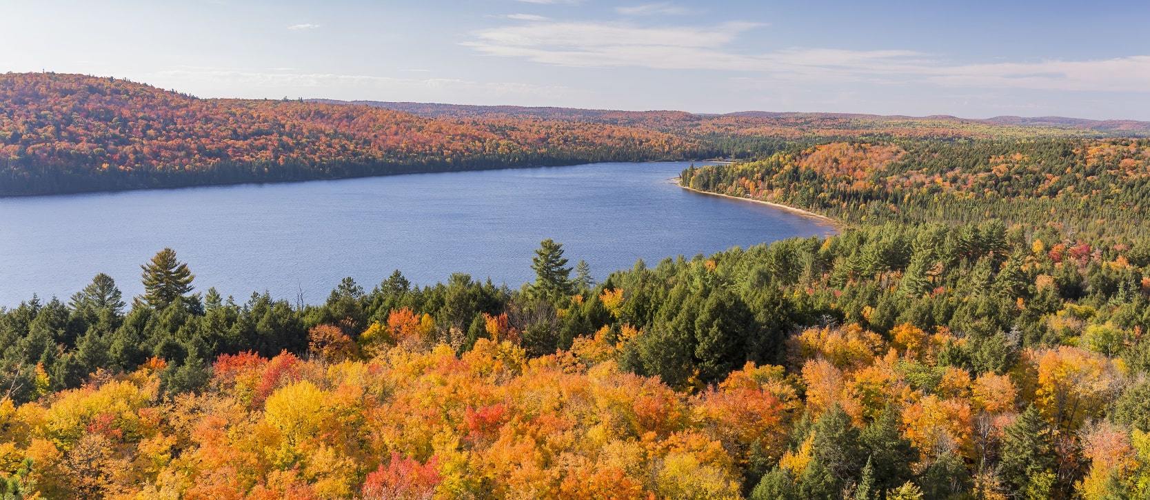 Panoramic view over the orange, yellow, and green trees and lakes of the Haliburton area