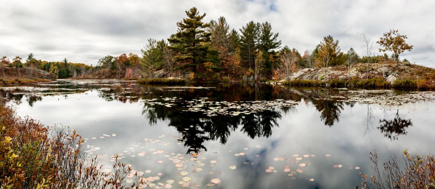 Highland Grove Homes For Sale Haliburton, ON Real Estate