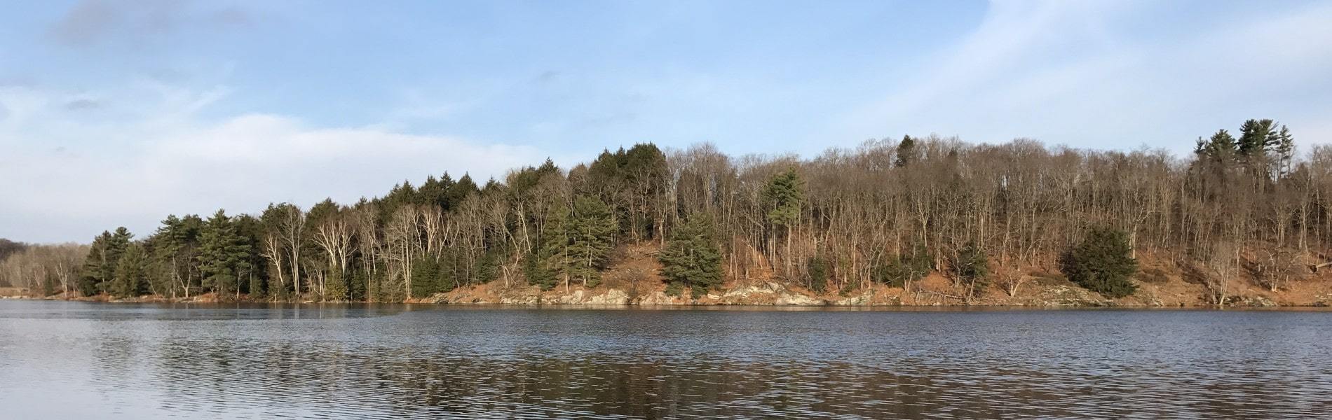 waterfront and wooded area near seguin ontario