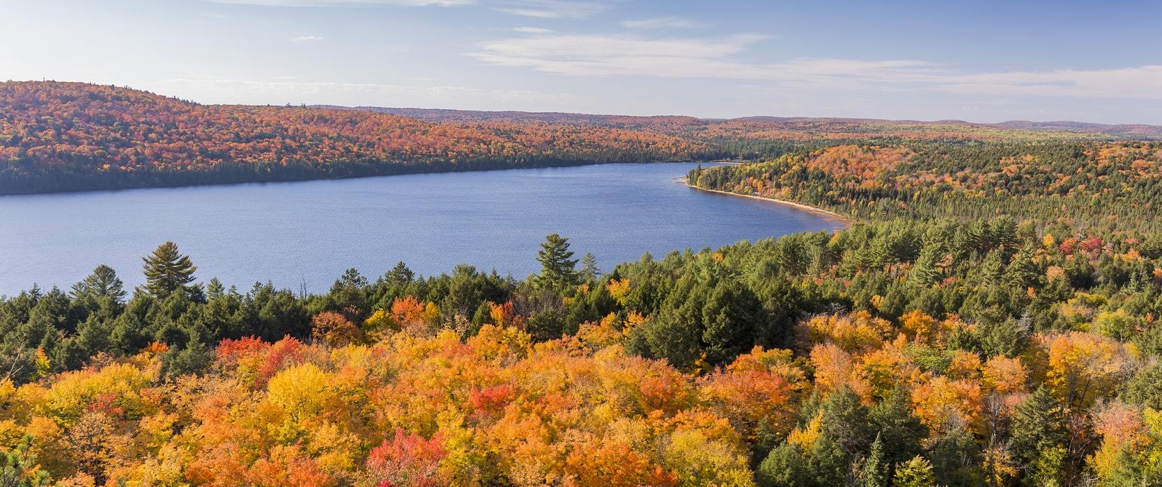 Panoramic view of vibrant green and orange trees near a lake in Haliburton County